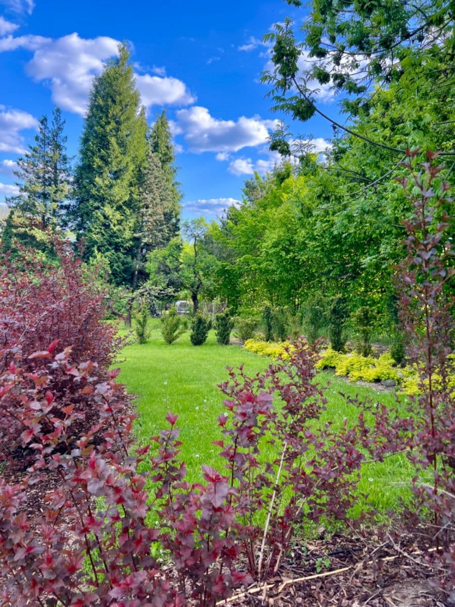 Prodej pozemku 806 m², Česká Lípa, Liberecký kraj Prodej pozemku 806 m², Česká Lípa, Liberecký kraj