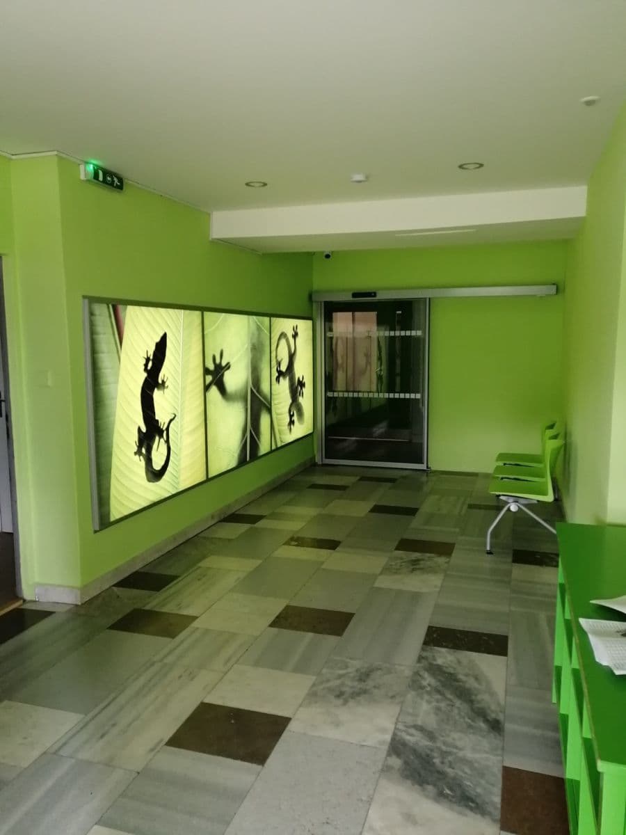 Pronájem bytu 3+1 65 m², Kmochova, Olomouc, Olomoucký kraj Pronájem bytu 3+1 65 m², Kmochova, Olomouc, Olomoucký kraj