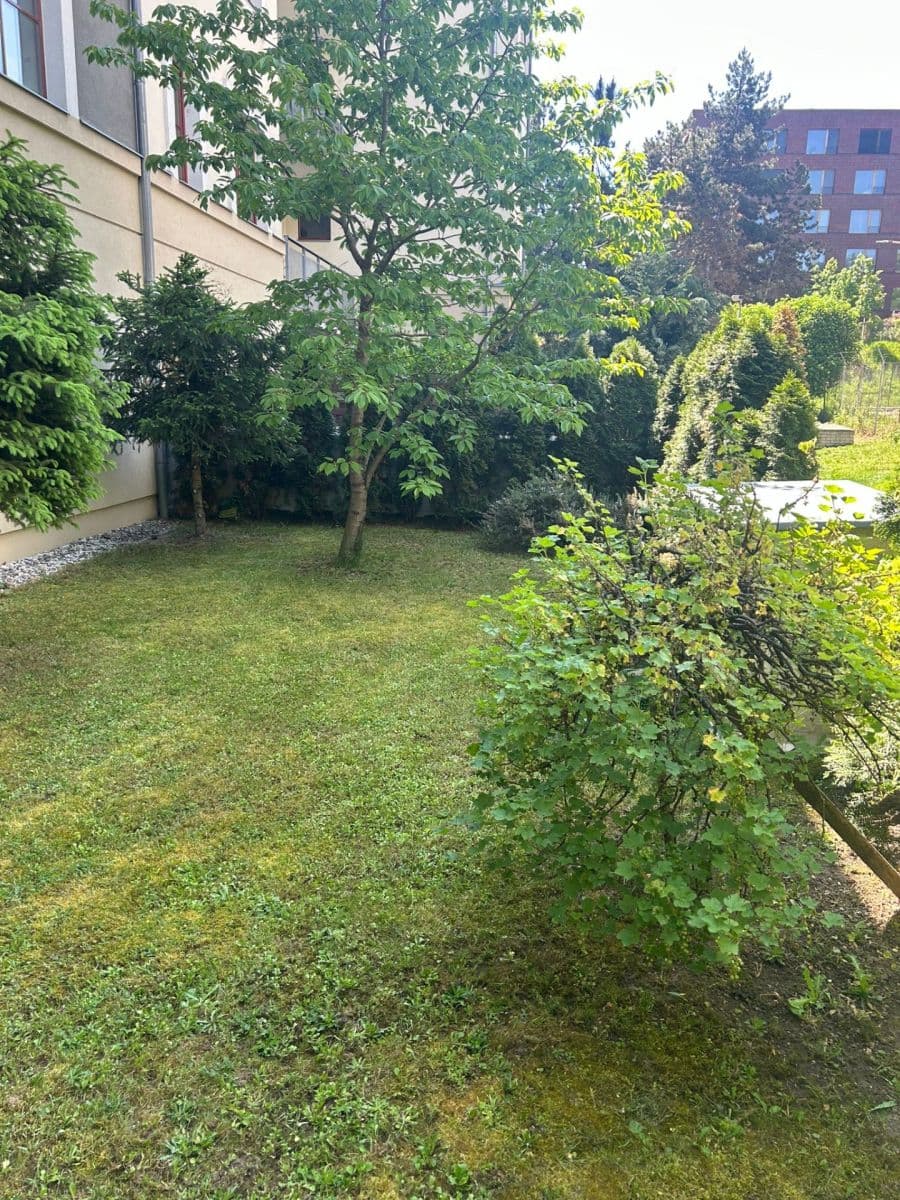Pronájem bytu 2+kk 62 m², Lindleyova, Praha, Praha Pronájem bytu 2+kk 62 m², Lindleyova, Praha, Praha