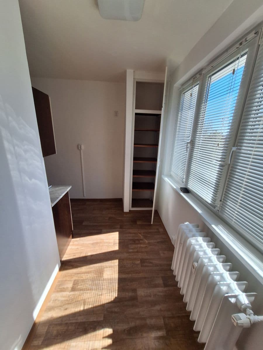 Pronájem bytu 1+1 38 m², Nepomucká, Plzeň, Plzeňský kraj Pronájem bytu 1+1 38 m², Nepomucká, Plzeň, Plzeňský kraj