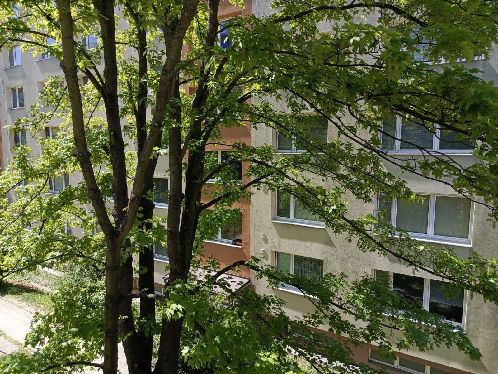 Prodej bytu 3+1 73 m², Slezská, Zlín, Zlínský kraj Prodej bytu 3+1 73 m², Slezská, Zlín, Zlínský kraj