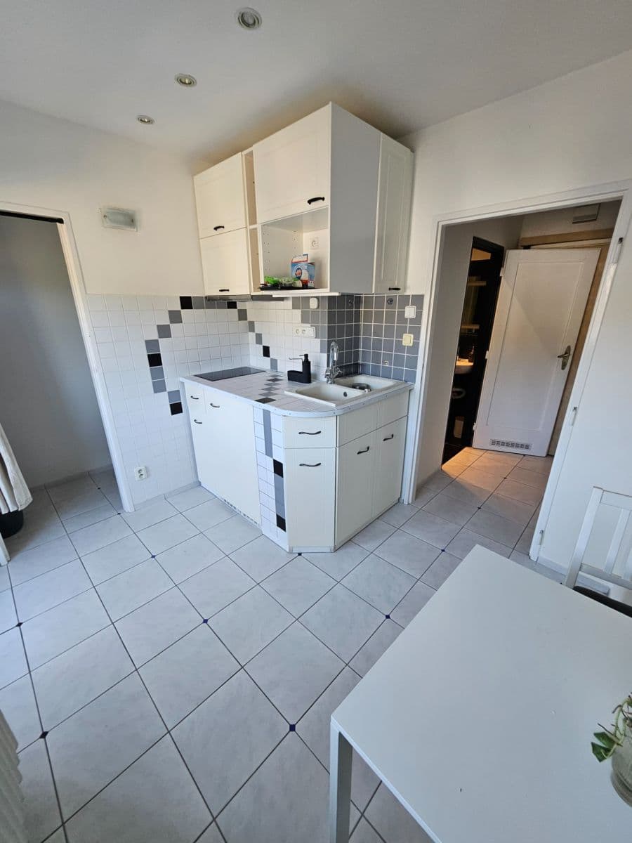 Pronájem bytu 2+1 53 m², Vrchlického, Praha, Praha Pronájem bytu 2+1 53 m², Vrchlického, Praha, Praha