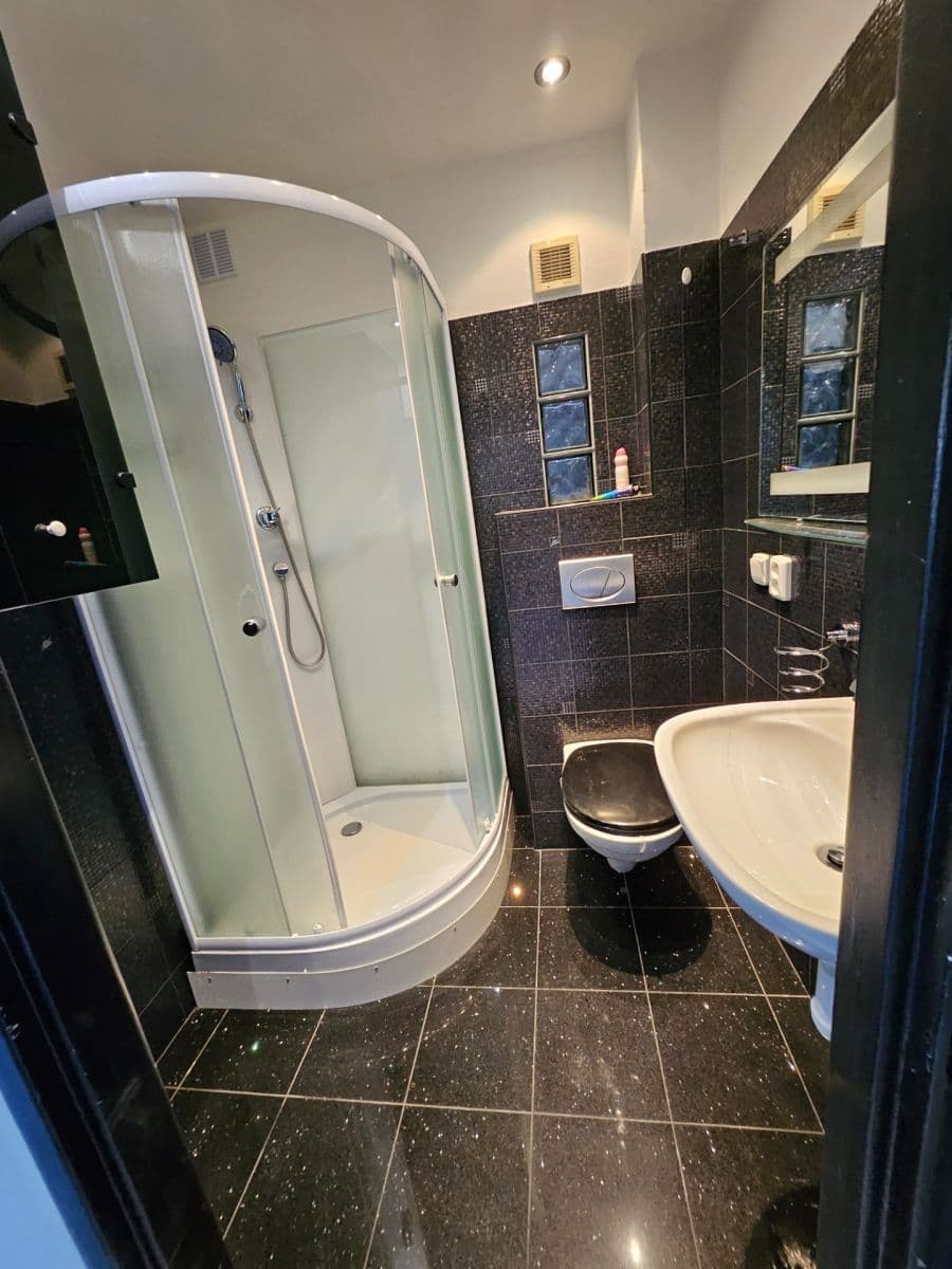 Pronájem bytu 2+1 53 m², Vrchlického, Praha, Praha Pronájem bytu 2+1 53 m², Vrchlického, Praha, Praha