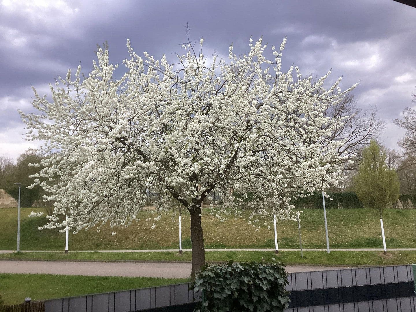 Prodej bytu 3+1 100 m², Weinstadt, Bádensko-Württembersko Prodej bytu 3+1 100 m², Weinstadt, Bádensko-Württembersko