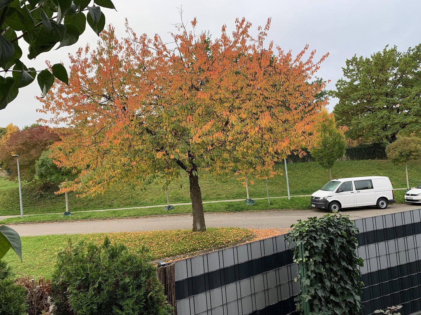 Prodej bytu 3+1 100 m², Weinstadt, Bádensko-Württembersko Prodej bytu 3+1 100 m², Weinstadt, Bádensko-Württembersko