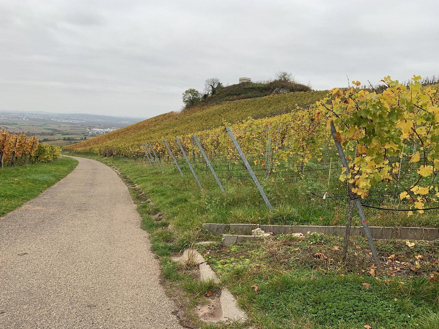 Prodej bytu 3+1 100 m², Weinstadt, Bádensko-Württembersko Prodej bytu 3+1 100 m², Weinstadt, Bádensko-Württembersko