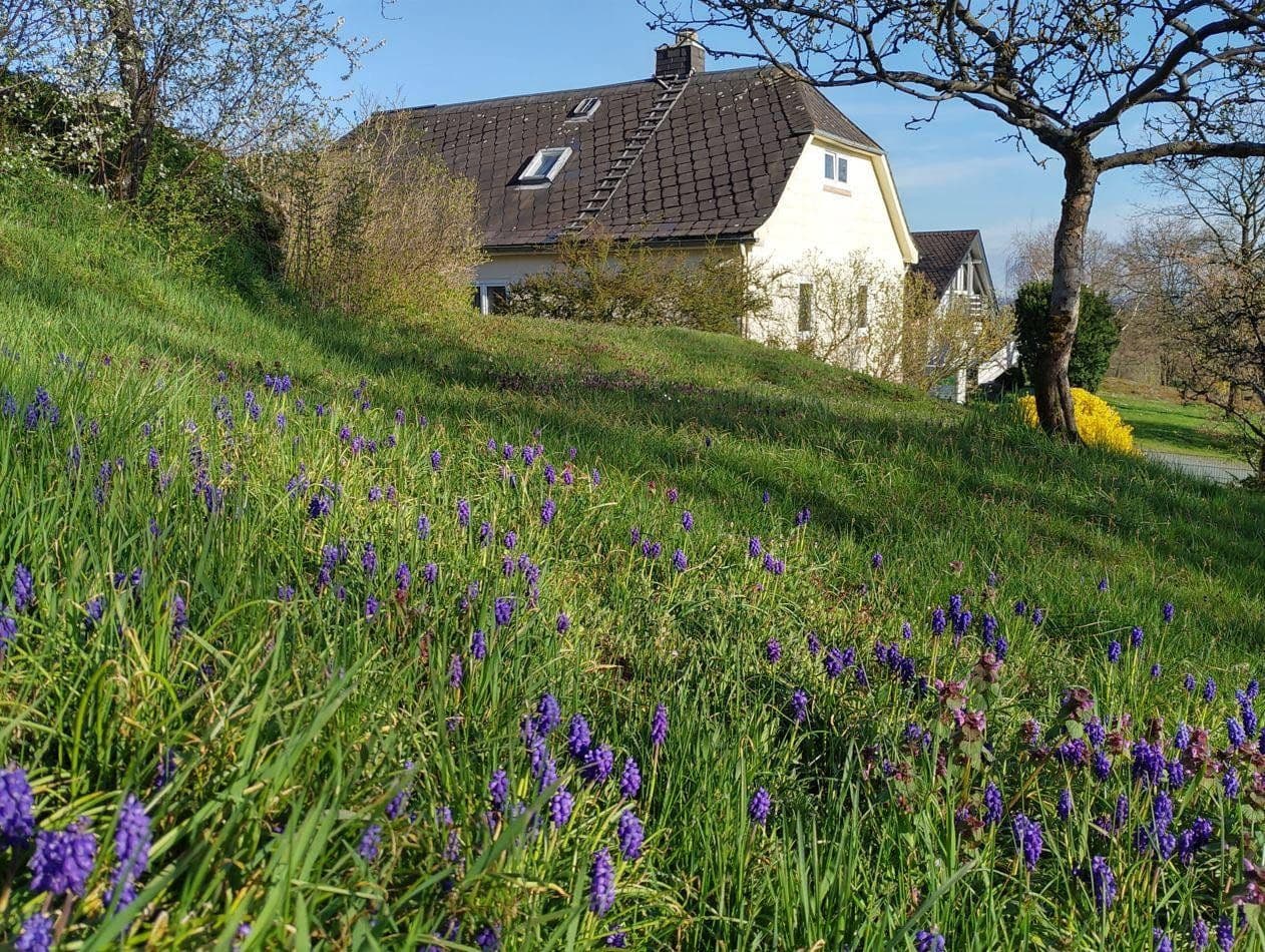 Prodej domu 111 m², pozemek 1.842 m², Selbitz, Bavorsko Prodej domu 111 m², pozemek 1.842 m², Selbitz, Bavorsko
