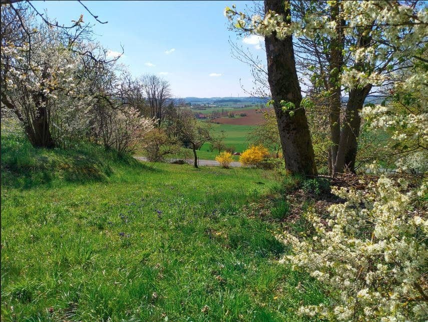 Prodej domu 111 m², pozemek 1.842 m², Selbitz, Bavorsko Prodej domu 111 m², pozemek 1.842 m², Selbitz, Bavorsko