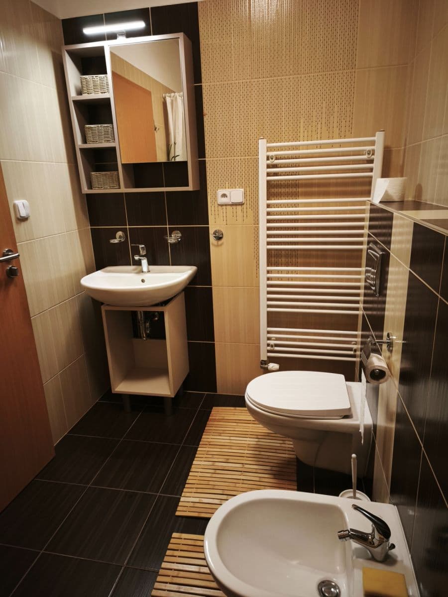 Pronájem bytu 1+kk 45 m², Kařez, Plzeňský kraj Pronájem bytu 1+kk 45 m², Kařez, Plzeňský kraj