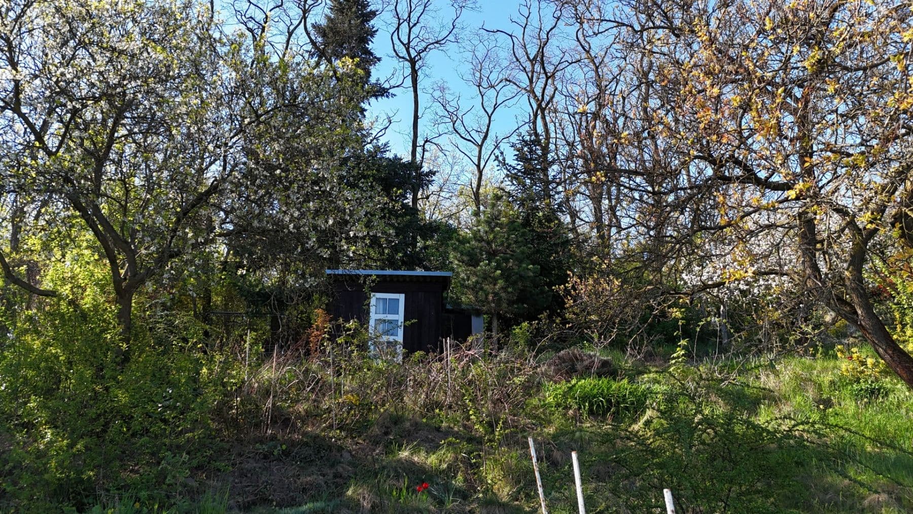 Prodej pozemku 670 m², Brno, Jihomoravský kraj Prodej pozemku 670 m², Brno, Jihomoravský kraj