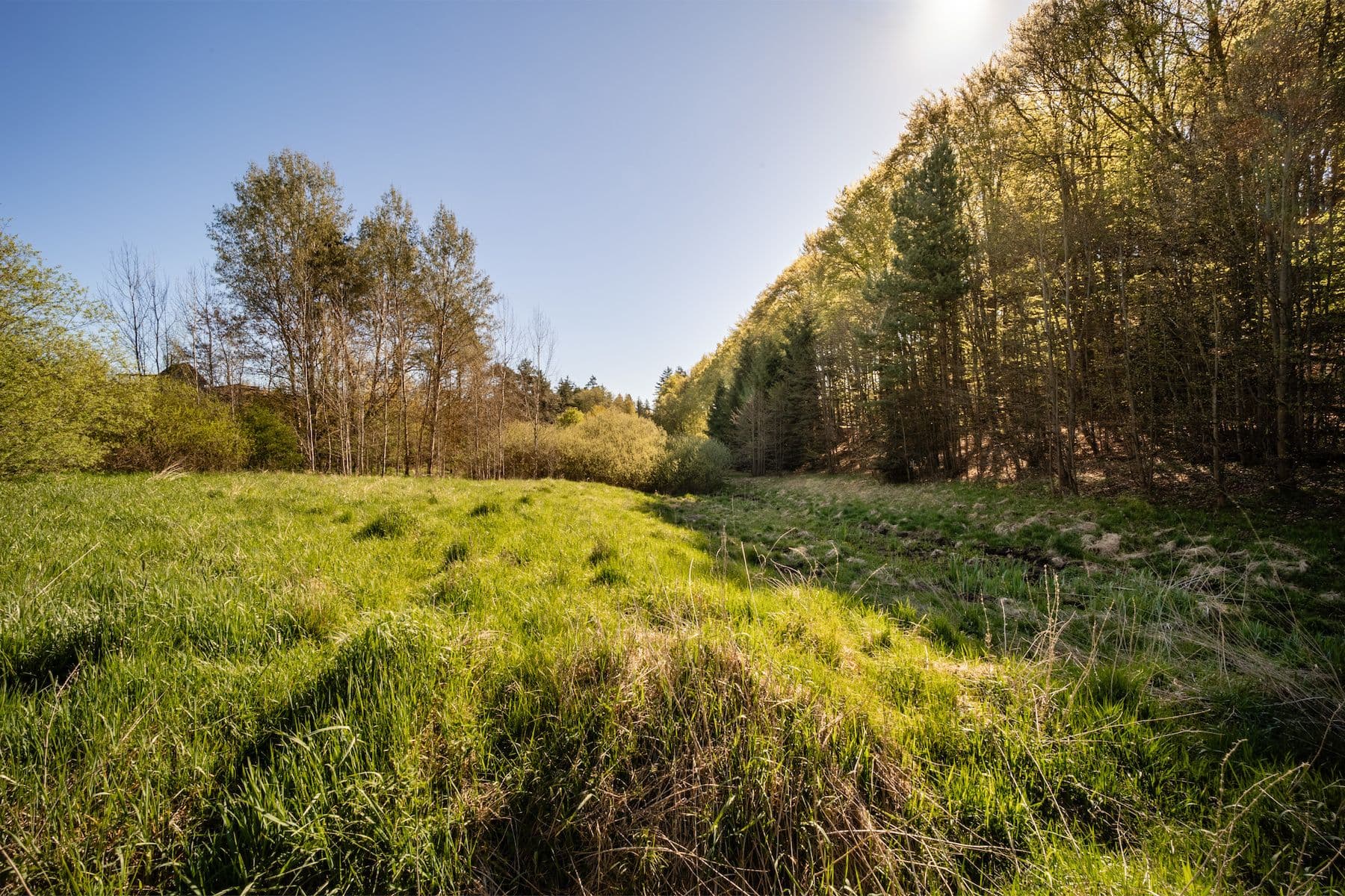 Prodej pozemku 4.684 m², Temešvár, Jihočeský kraj Prodej pozemku 4.684 m², Temešvár, Jihočeský kraj