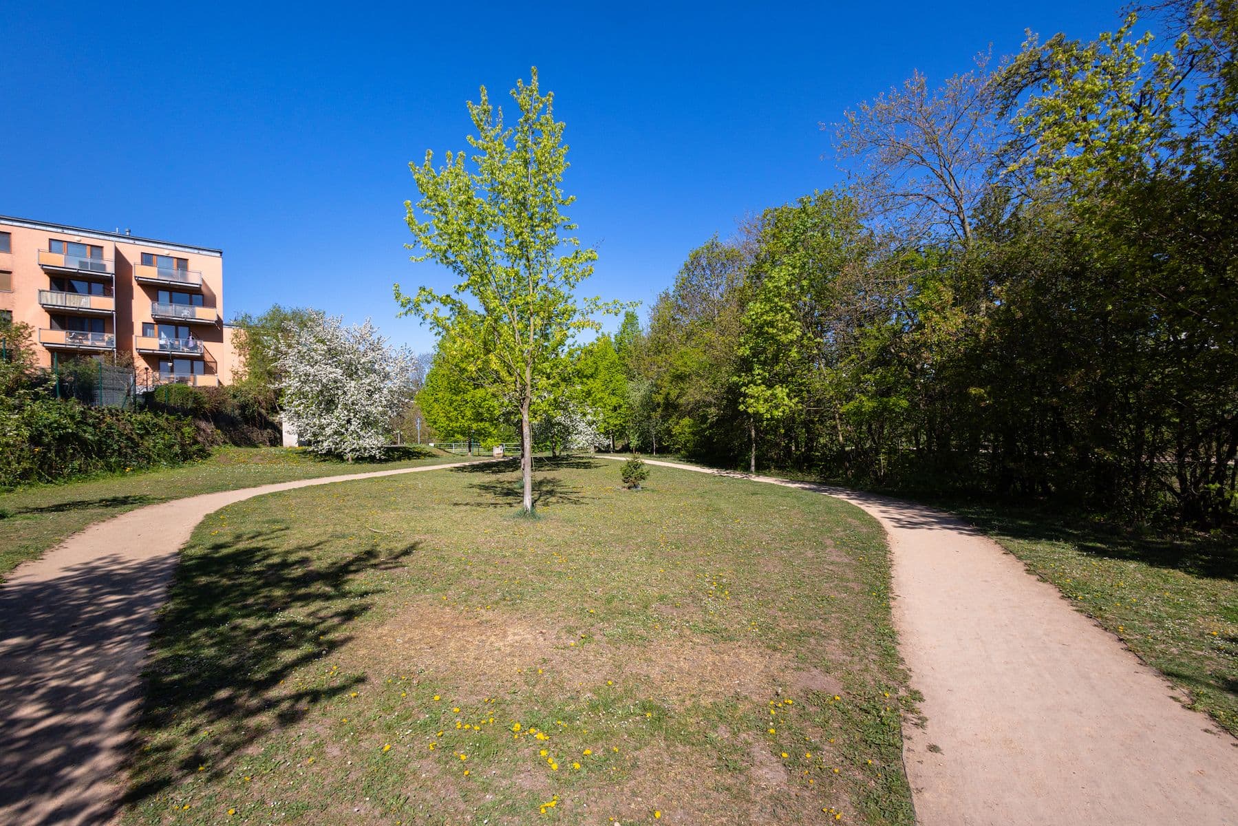 Prodej bytu 3+kk 78 m², Nepelova, Praha, Praha Prodej bytu 3+kk 78 m², Nepelova, Praha, Praha