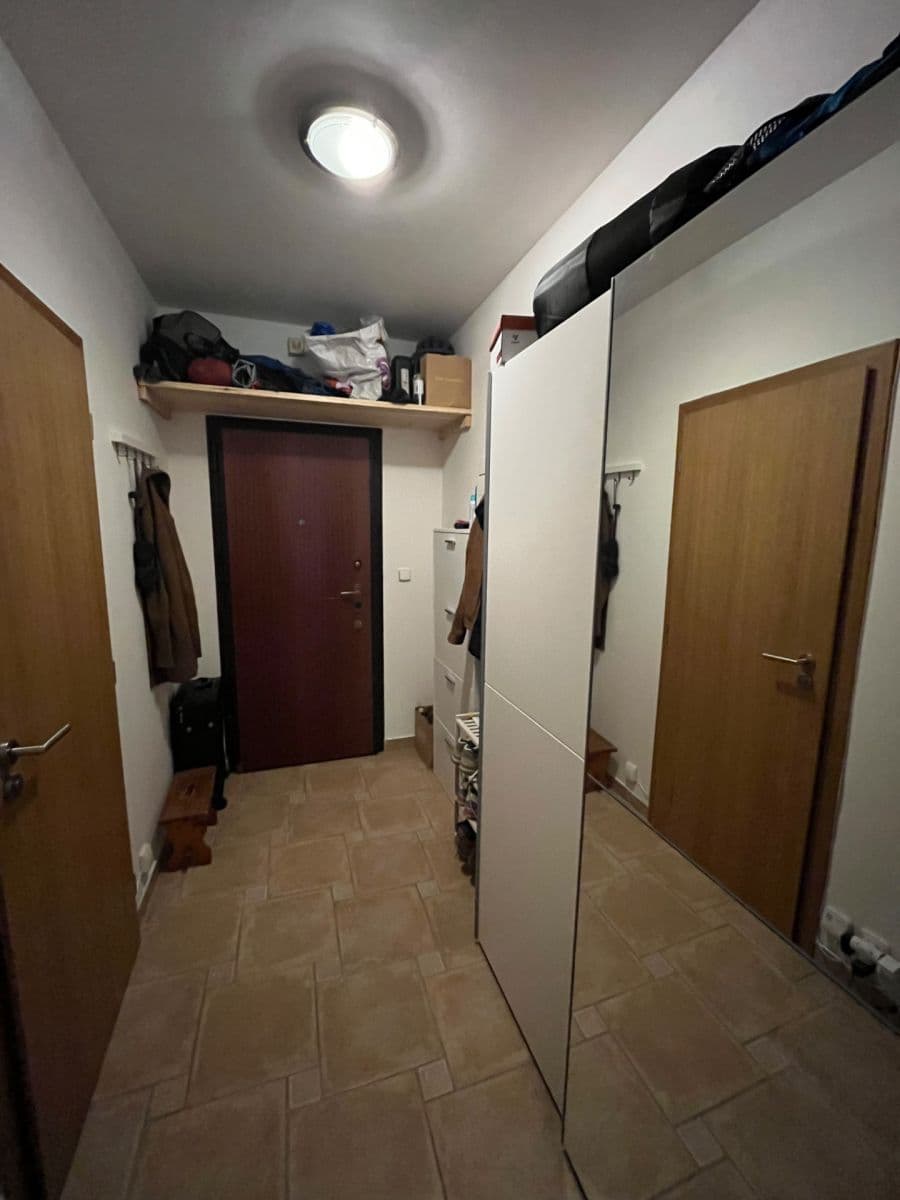 Pronájem bytu 1+kk 33 m², Úvoz, Brno, Jihomoravský kraj Pronájem bytu 1+kk 33 m², Úvoz, Brno, Jihomoravský kraj