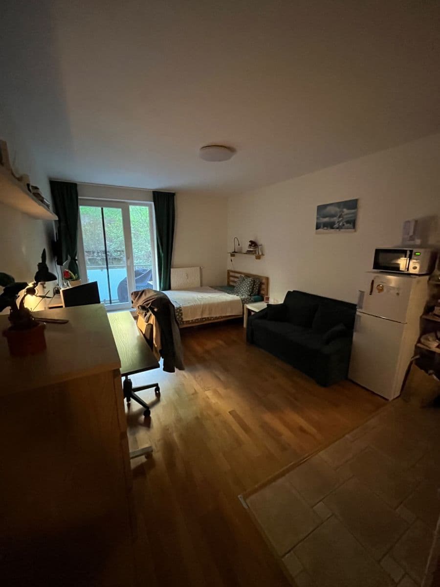 Pronájem bytu 1+kk 33 m², Úvoz, Brno, Jihomoravský kraj Pronájem bytu 1+kk 33 m², Úvoz, Brno, Jihomoravský kraj