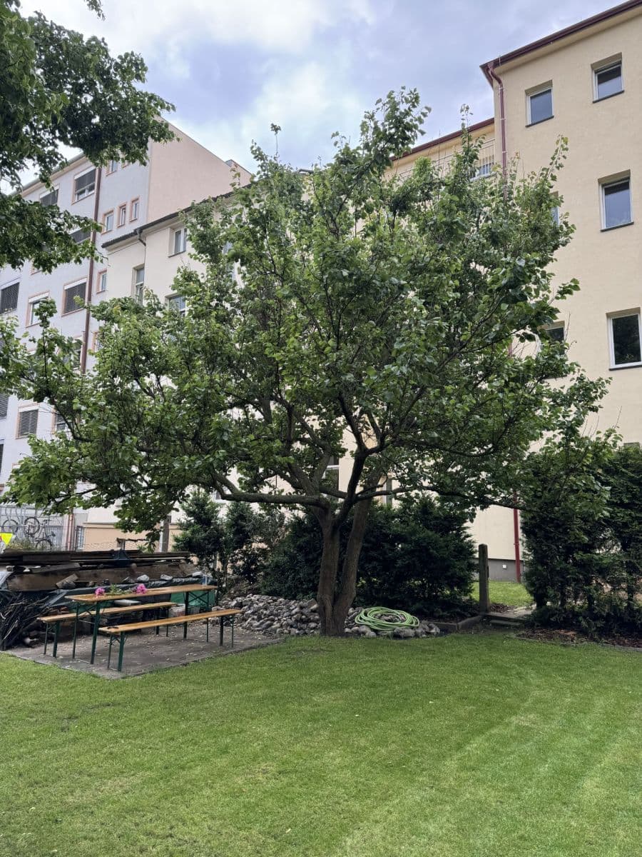 Pronájem bytu 2+kk 88 m², Hřímalého, Plzeň, Plzeňský kraj Pronájem bytu 2+kk 88 m², Hřímalého, Plzeň, Plzeňský kraj