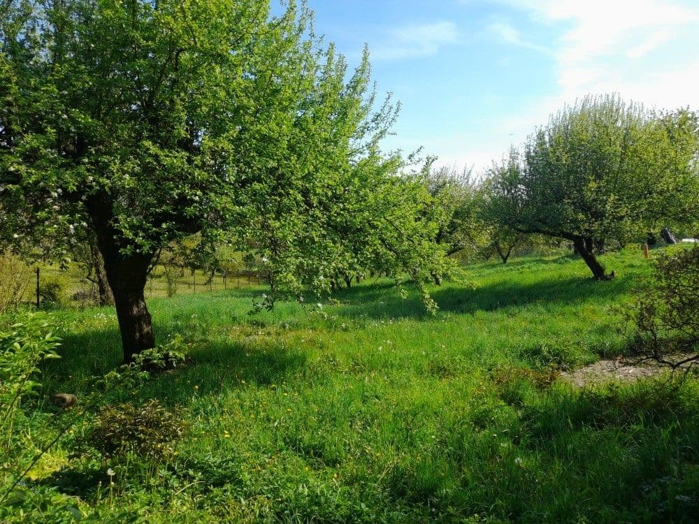 Prodej pozemku 2.321 m², Studnice, Královéhradecký kraj Prodej pozemku 2.321 m², Studnice, Královéhradecký kraj