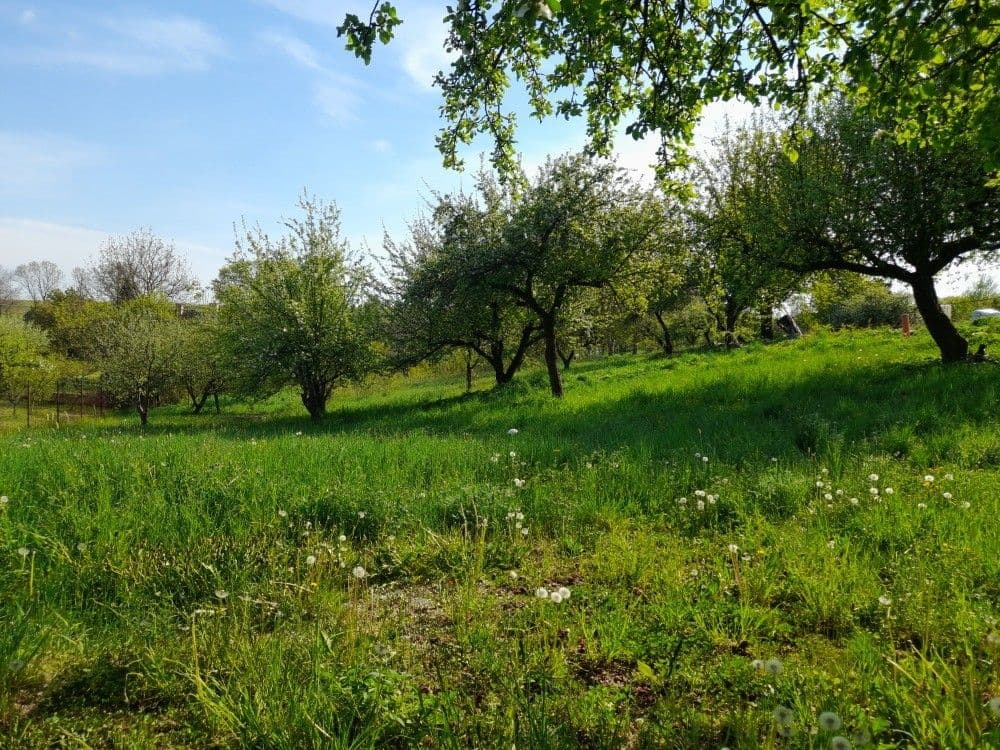 Prodej pozemku 2.321 m², Studnice, Královéhradecký kraj Prodej pozemku 2.321 m², Studnice, Královéhradecký kraj