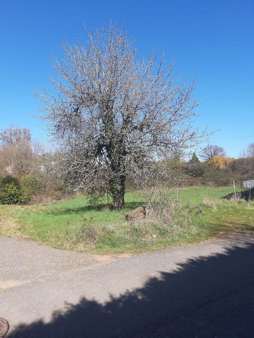 Prodej pozemku 943 m², Wiesensttaße 6, Trippstadt, Porýní-Falc Prodej pozemku 943 m², Wiesensttaße 6, Trippstadt, Porýní-Falc