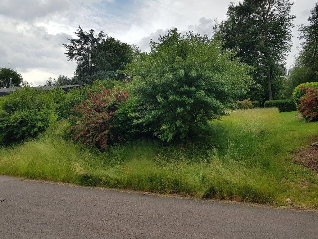 Prodej pozemku 285 m², Saarburg, Porýní-Falc Prodej pozemku 285 m², Saarburg, Porýní-Falc