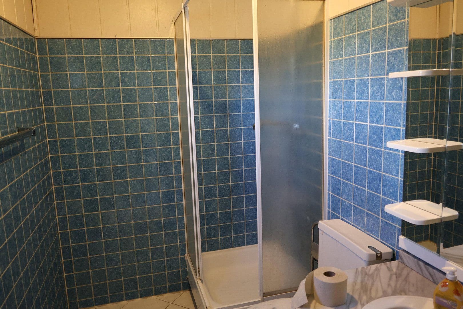 Prodej domu 165 m², pozemek 2.604 m², Moselstrasse 21, Dormagen, Severní Porýní-Vestfálsko Prodej domu 165 m², pozemek 2.604 m², Moselstrasse 21, Dormagen, Severní Porýní-Vestfálsko