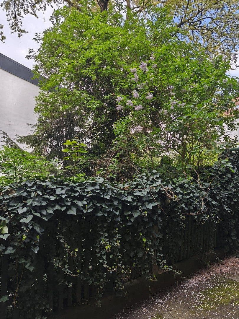 Pronájem bytu 20 m², Herrlachstrasse, Mannheim, Bádensko-Württembersko Pronájem bytu 20 m², Herrlachstrasse, Mannheim, Bádensko-Württembersko