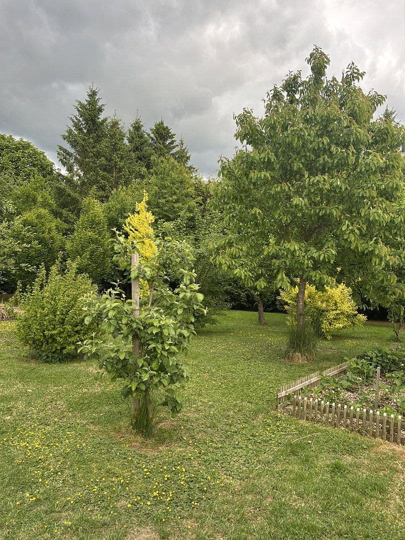 Prodej domu 100 m², pozemek 2.021 m², Gadebusch, Mecklenburg-Vorpommern Prodej domu 100 m², pozemek 2.021 m², Gadebusch, Mecklenburg-Vorpommern