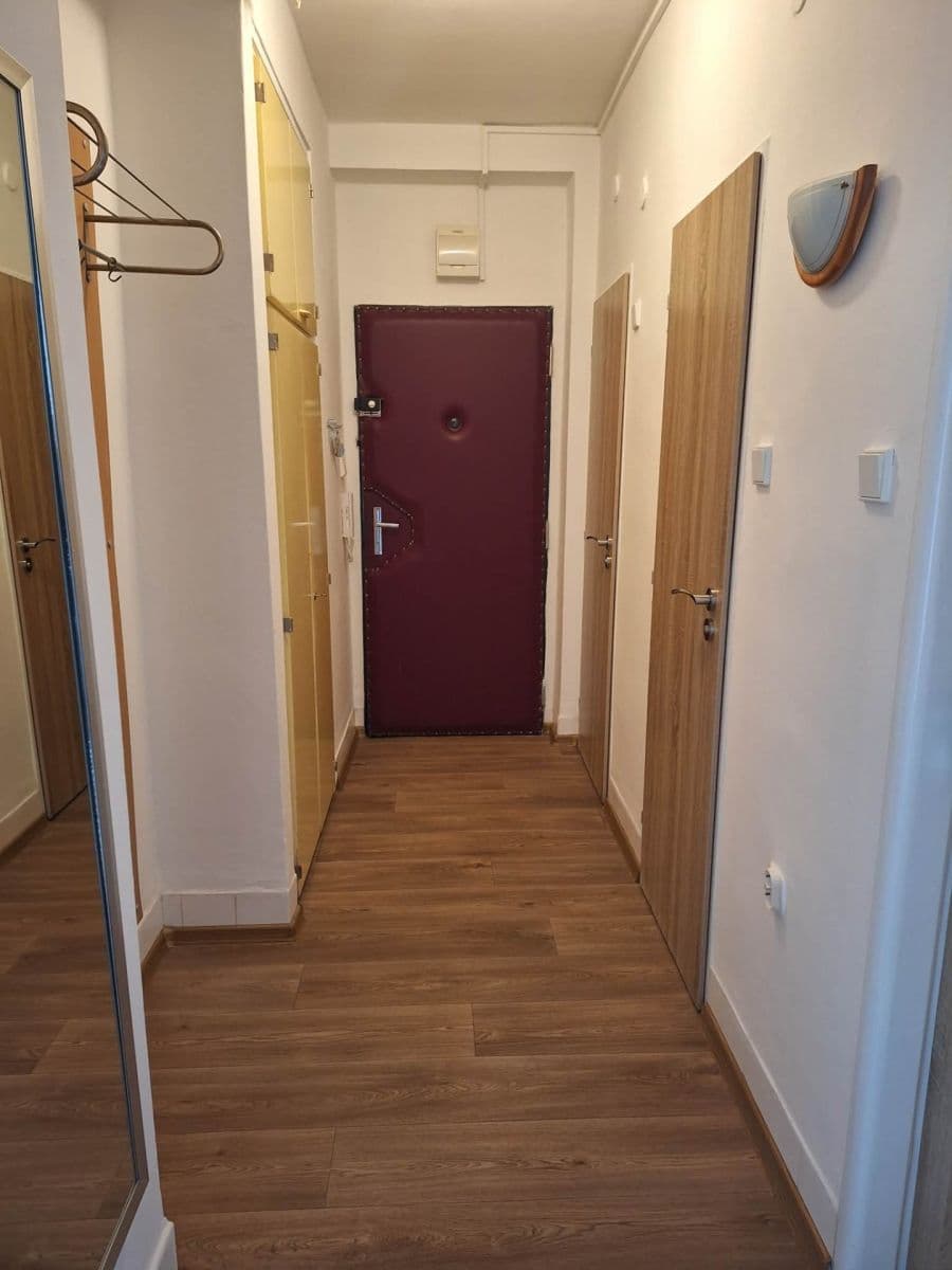 Pronájem bytu 2+1 52 m², Svatopluka Čecha, Brno, Jihomoravský kraj Pronájem bytu 2+1 52 m², Svatopluka Čecha, Brno, Jihomoravský kraj