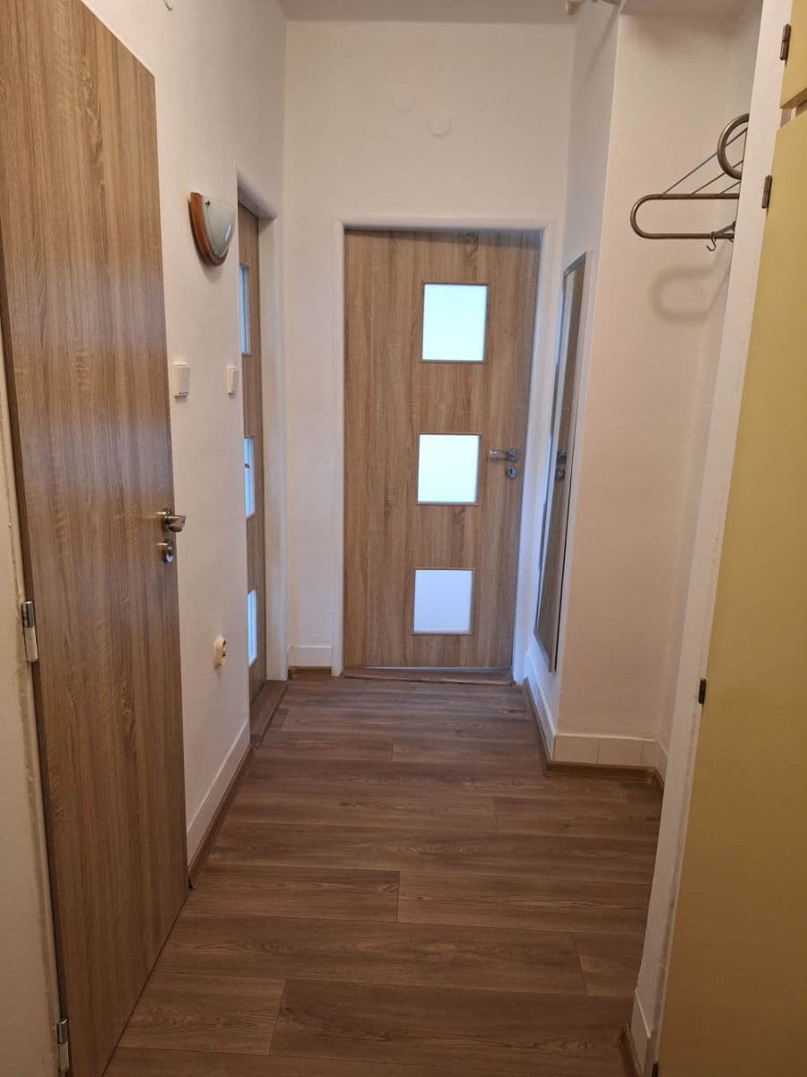 Pronájem bytu 2+1 52 m², Svatopluka Čecha, Brno, Jihomoravský kraj Pronájem bytu 2+1 52 m², Svatopluka Čecha, Brno, Jihomoravský kraj
