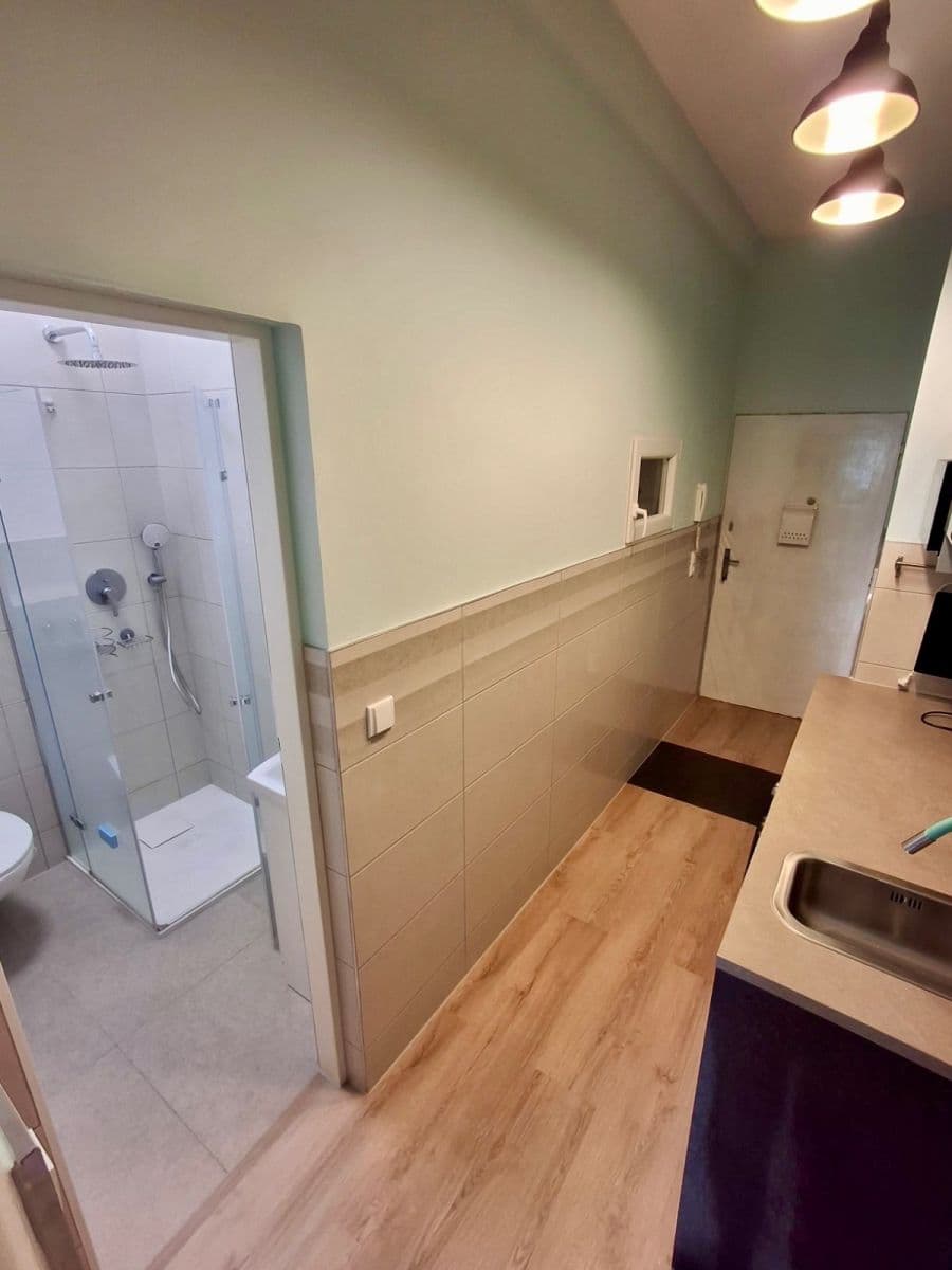 Pronájem bytu 1+kk 24 m², V Horní Stromce, Praha, Praha Pronájem bytu 1+kk 24 m², V Horní Stromce, Praha, Praha