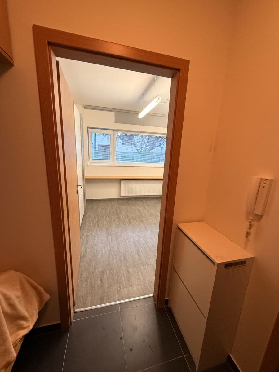 Pronájem bytu 1+kk 27 m², Cacovická, Brno, Jihomoravský kraj Pronájem bytu 1+kk 27 m², Cacovická, Brno, Jihomoravský kraj