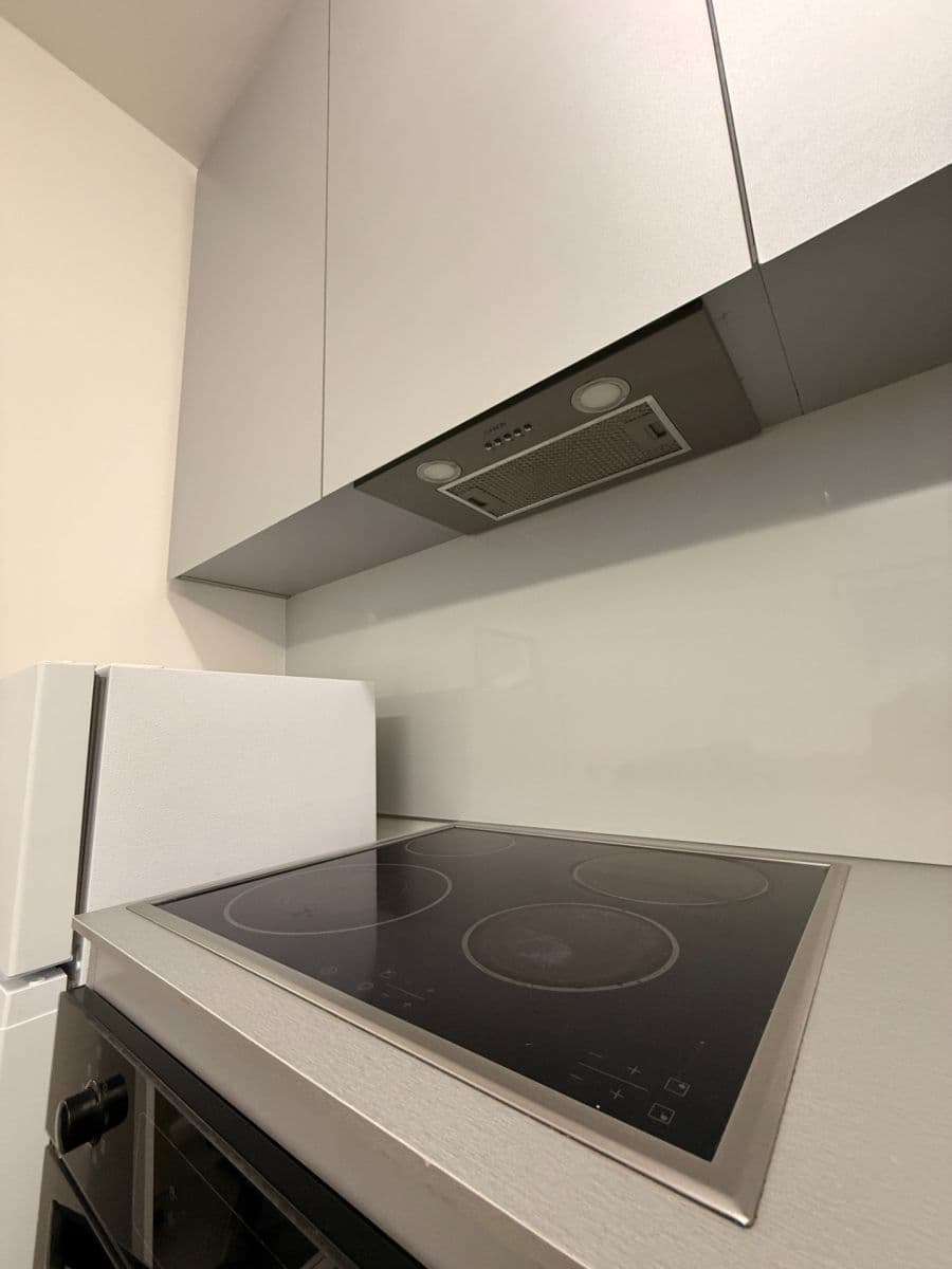 Pronájem bytu 1+kk 27 m², Cacovická, Brno, Jihomoravský kraj Pronájem bytu 1+kk 27 m², Cacovická, Brno, Jihomoravský kraj