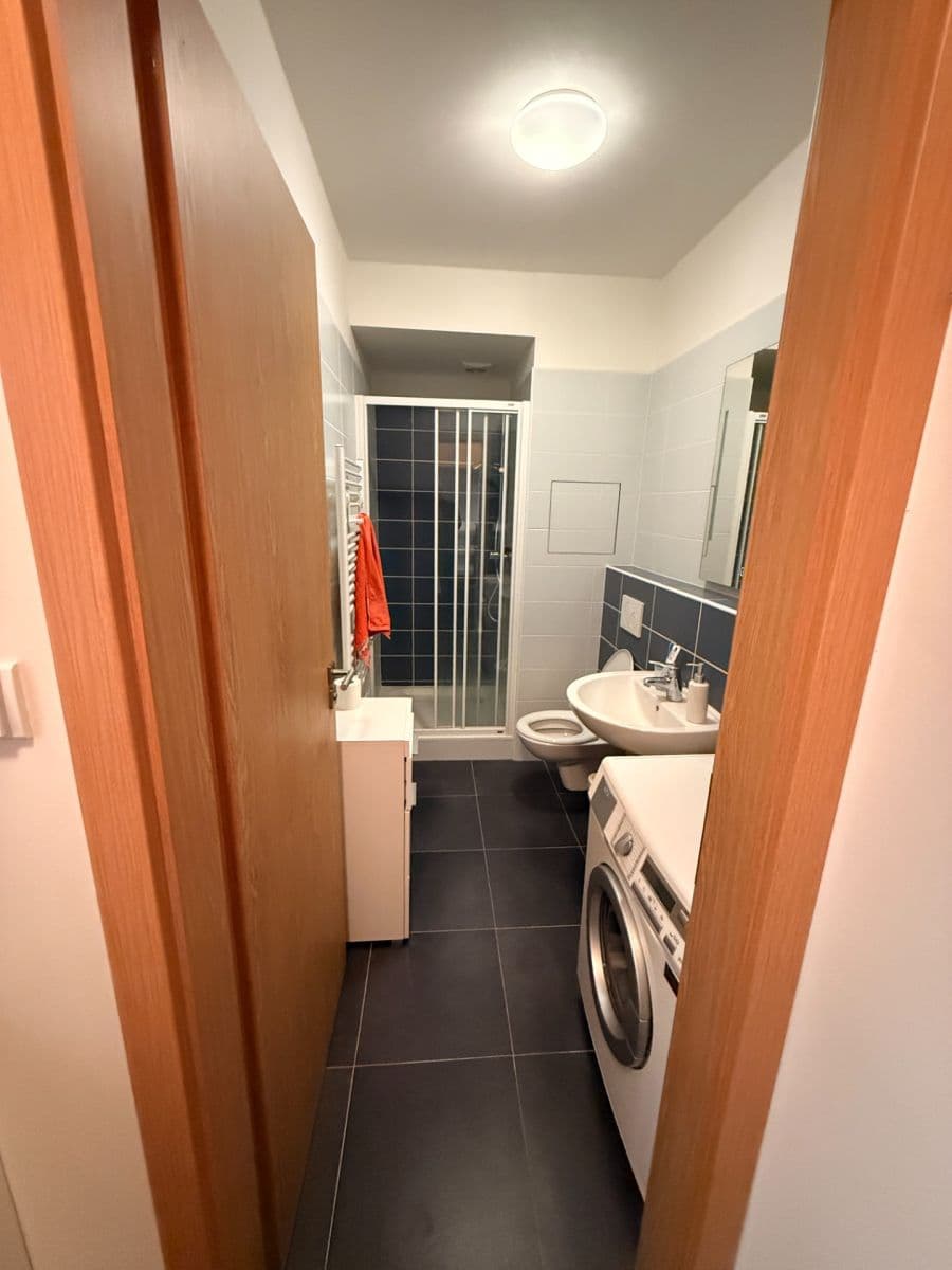 Pronájem bytu 1+kk 27 m², Cacovická, Brno, Jihomoravský kraj Pronájem bytu 1+kk 27 m², Cacovická, Brno, Jihomoravský kraj