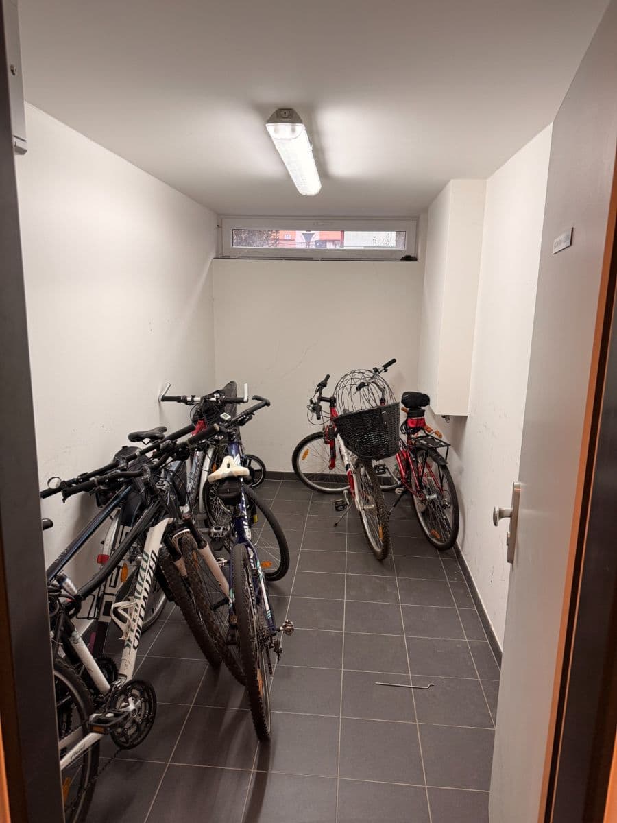 Pronájem bytu 1+kk 27 m², Cacovická, Brno, Jihomoravský kraj Pronájem bytu 1+kk 27 m², Cacovická, Brno, Jihomoravský kraj