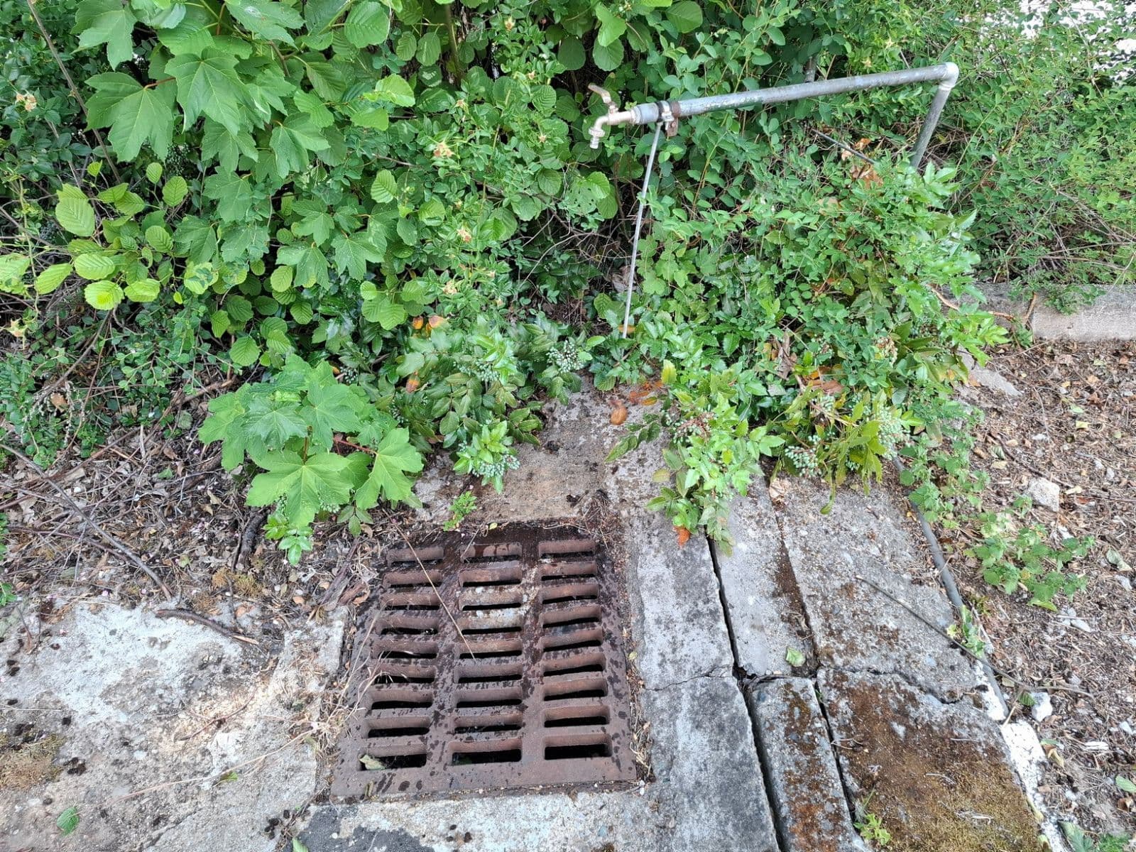 Pronájem garáže 16 m², Matzenauerova, Brno, Jihomoravský kraj Pronájem garáže 16 m², Matzenauerova, Brno, Jihomoravský kraj
