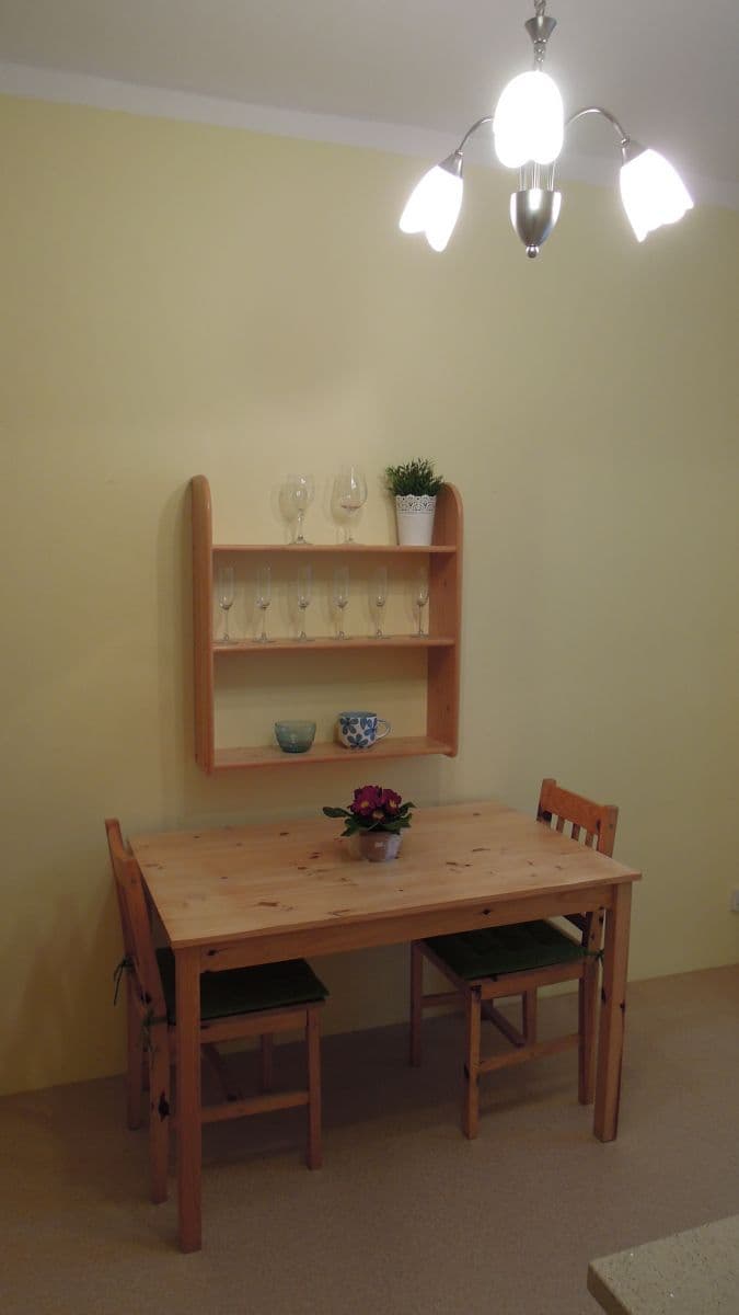 Pronájem bytu 1+1 32 m², Pohankova, Brno, Jihomoravský kraj Pronájem bytu 1+1 32 m², Pohankova, Brno, Jihomoravský kraj