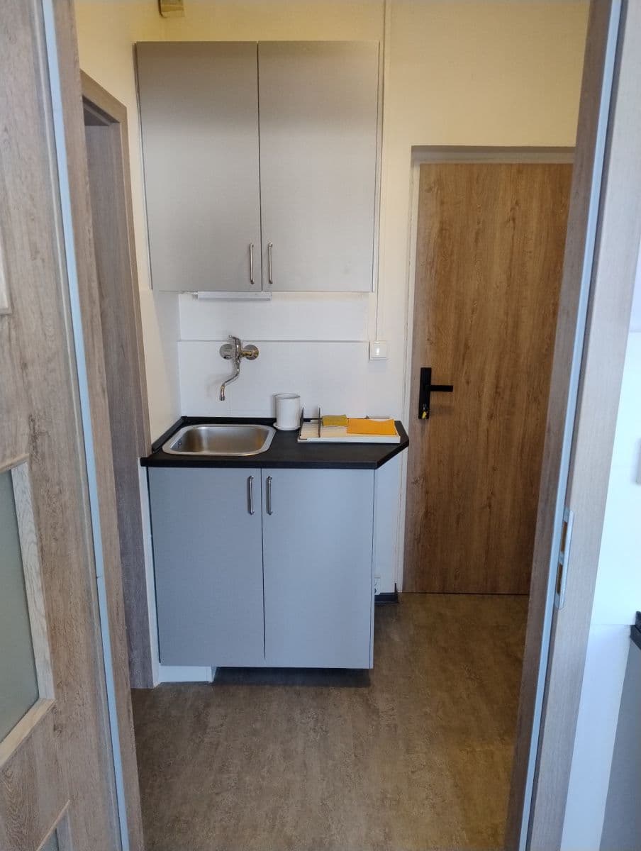 Pronájem bytu 1+kk 20 m², Mendlovo náměstí, Brno, Jihomoravský kraj Pronájem bytu 1+kk 20 m², Mendlovo náměstí, Brno, Jihomoravský kraj