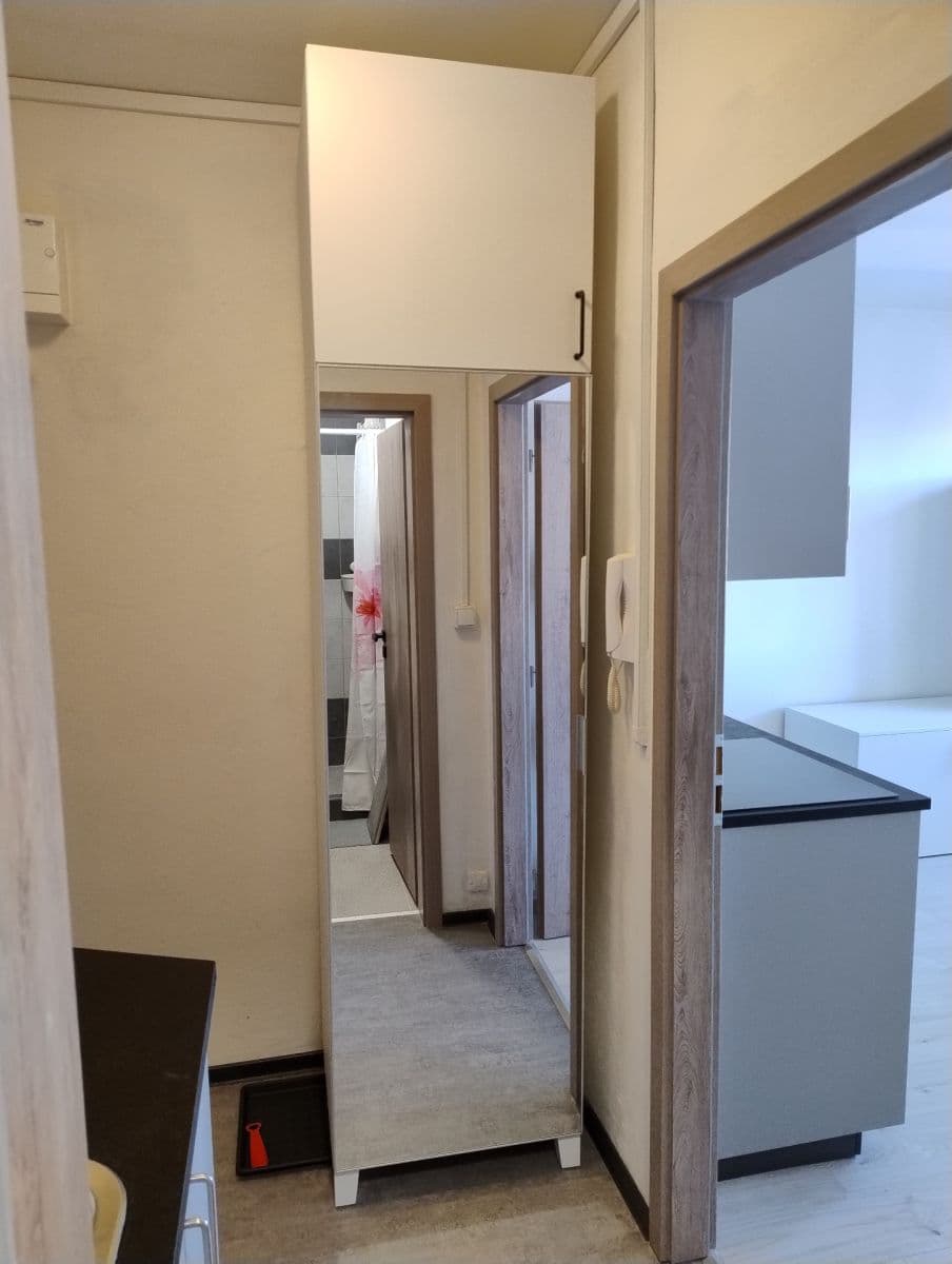 Pronájem bytu 1+kk 20 m², Mendlovo náměstí, Brno, Jihomoravský kraj Pronájem bytu 1+kk 20 m², Mendlovo náměstí, Brno, Jihomoravský kraj