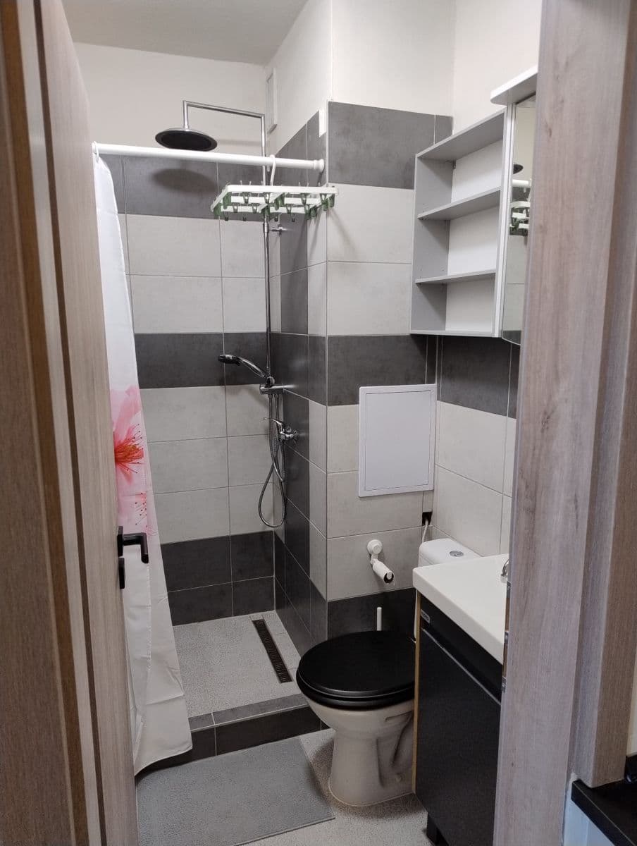 Pronájem bytu 1+kk 20 m², Mendlovo náměstí, Brno, Jihomoravský kraj Pronájem bytu 1+kk 20 m², Mendlovo náměstí, Brno, Jihomoravský kraj