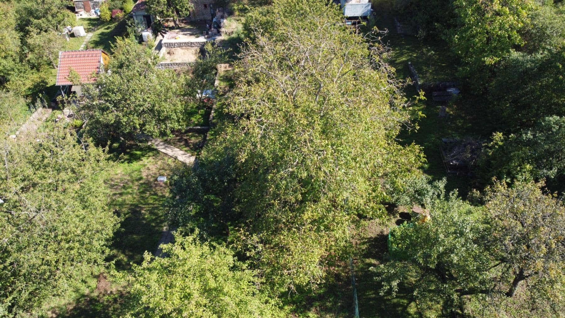 Prodej chaty, chalupy 14 m², pozemek 575 m², Šlapanice, Jihomoravský kraj Prodej chaty, chalupy 14 m², pozemek 575 m², Šlapanice, Jihomoravský kraj