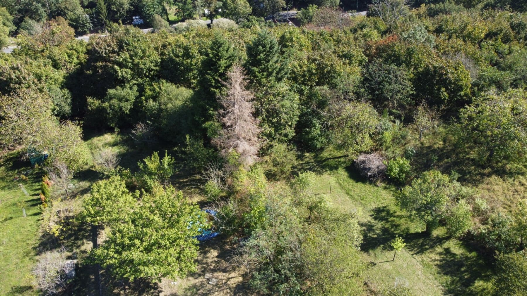 Prodej chaty, chalupy 14 m², pozemek 575 m², Šlapanice, Jihomoravský kraj Prodej chaty, chalupy 14 m², pozemek 575 m², Šlapanice, Jihomoravský kraj