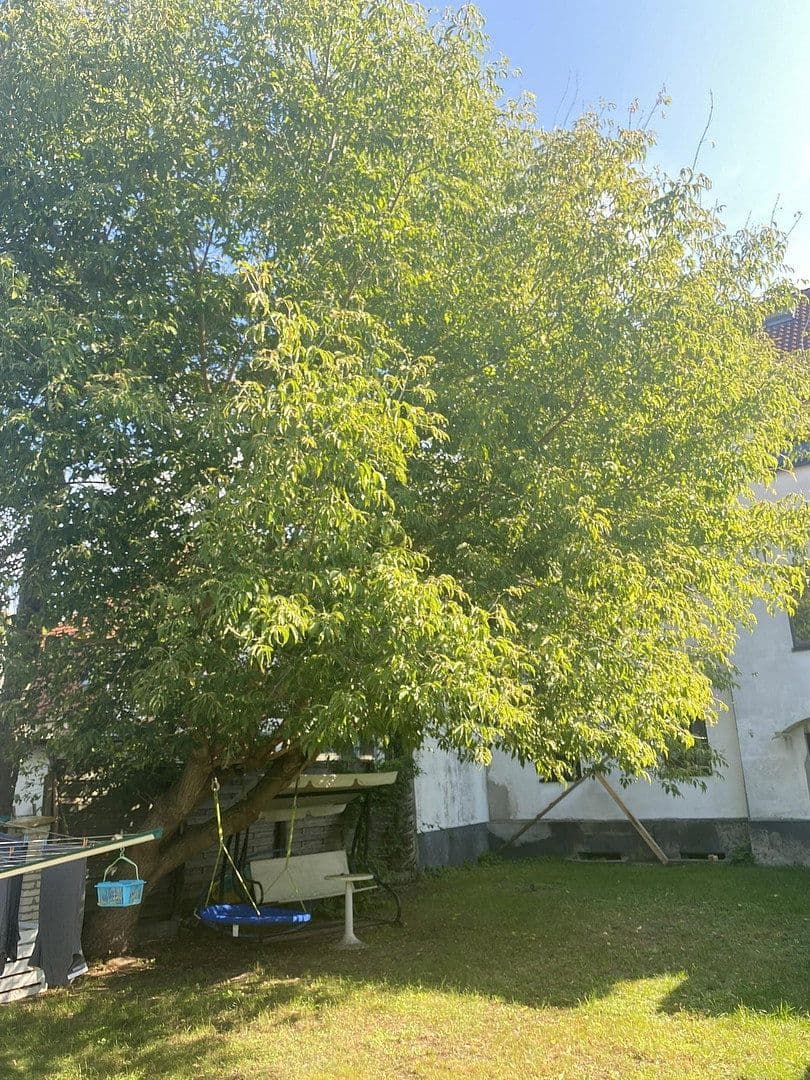 Pronájem bytu 2+1 64 m², Albert-Kleeberg-Str. 2, Fürstenwalde nad Sprévou, Braniborsko Pronájem bytu 2+1 64 m², Albert-Kleeberg-Str. 2, Fürstenwalde nad Sprévou, Braniborsko