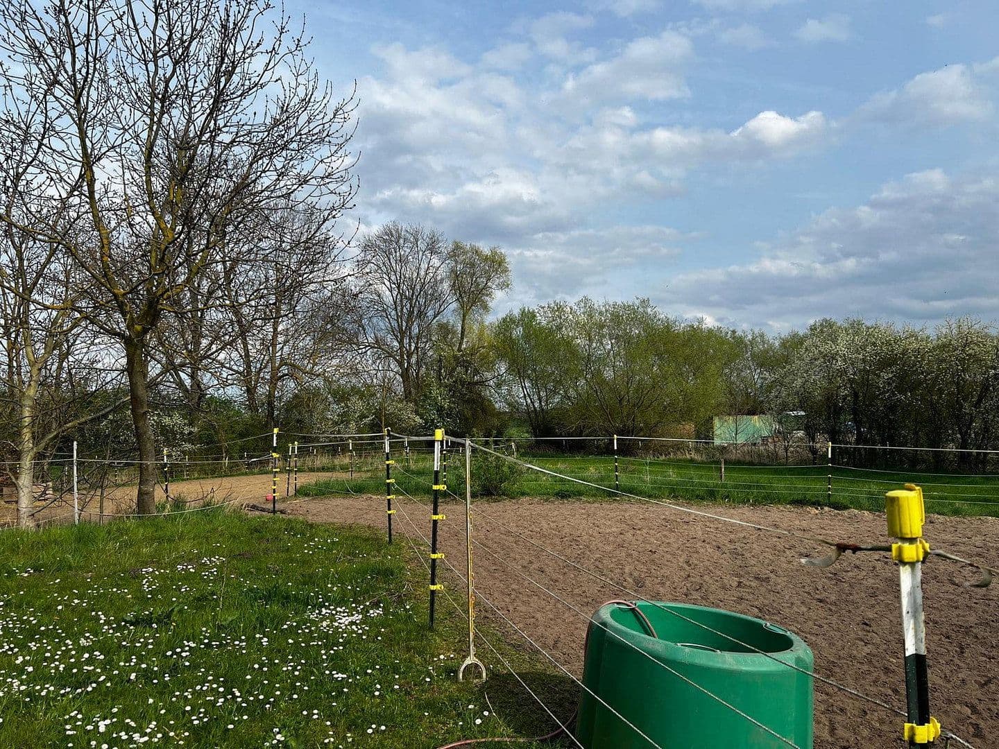 Prodej domu 160 m², pozemek 5.467 m², Im Winkel 5, Groß Twülpstedt, Dolní Sasko Prodej domu 160 m², pozemek 5.467 m², Im Winkel 5, Groß Twülpstedt, Dolní Sasko