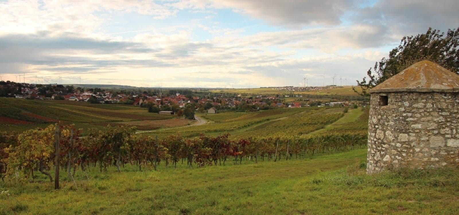 Prodej pozemku 1.500 m², Gundersheim, Porýní-Falc Prodej pozemku 1.500 m², Gundersheim, Porýní-Falc