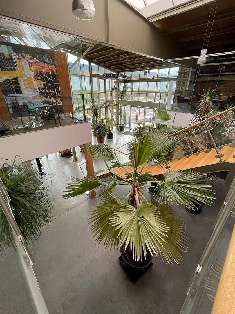 Prodej nebytového prostoru 7.370 m², Bochum, Severní Porýní-Vestfálsko Prodej nebytového prostoru 7.370 m², Bochum, Severní Porýní-Vestfálsko