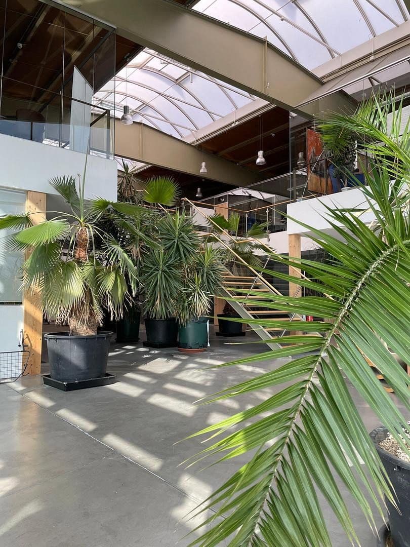 Prodej nebytového prostoru 7.370 m², Bochum, Severní Porýní-Vestfálsko Prodej nebytového prostoru 7.370 m², Bochum, Severní Porýní-Vestfálsko