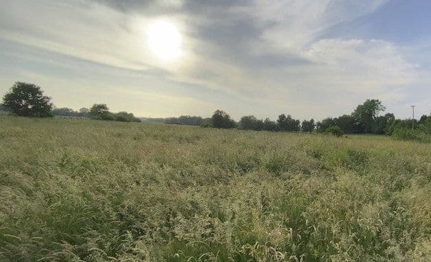 Pronájem pozemku 14.000 m², Hohenwestedt, Šlesvicko-Holštýnsko Pronájem pozemku 14.000 m², Hohenwestedt, Šlesvicko-Holštýnsko