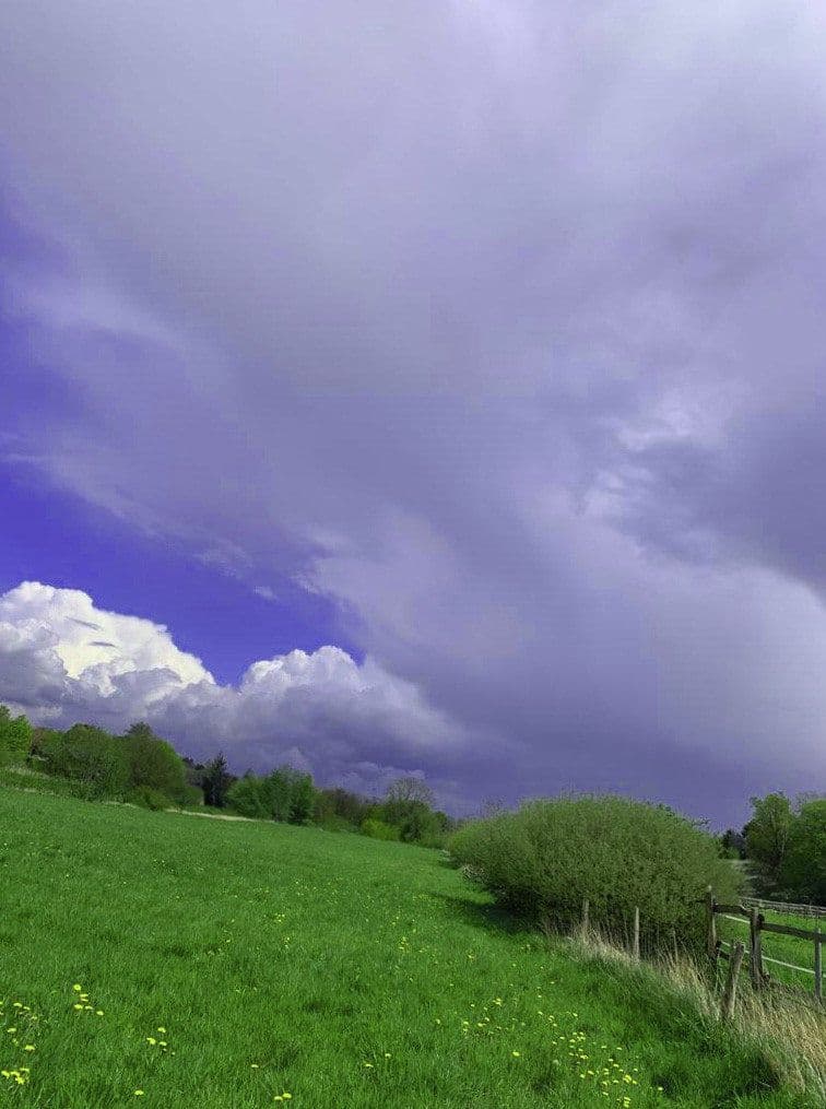 Pronájem pozemku 14.000 m², Hohenwestedt, Šlesvicko-Holštýnsko Pronájem pozemku 14.000 m², Hohenwestedt, Šlesvicko-Holštýnsko