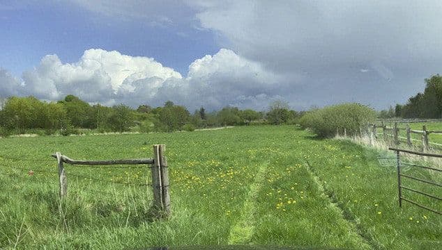 Pronájem pozemku 14.000 m², Hohenwestedt, Šlesvicko-Holštýnsko Pronájem pozemku 14.000 m², Hohenwestedt, Šlesvicko-Holštýnsko