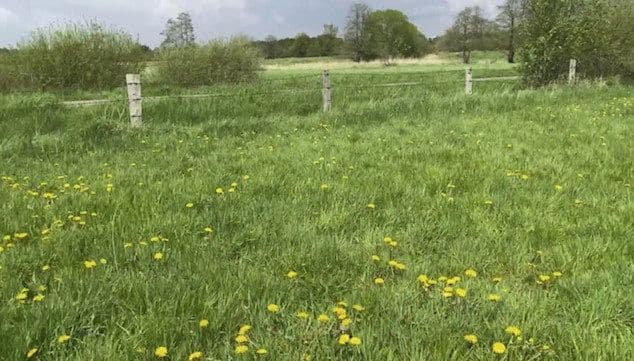 Pronájem pozemku 14.000 m², Hohenwestedt, Šlesvicko-Holštýnsko Pronájem pozemku 14.000 m², Hohenwestedt, Šlesvicko-Holštýnsko