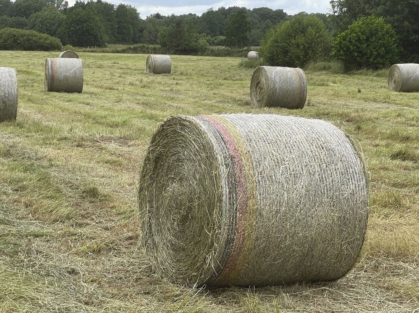 Pronájem pozemku 14.000 m², Hohenwestedt, Šlesvicko-Holštýnsko Pronájem pozemku 14.000 m², Hohenwestedt, Šlesvicko-Holštýnsko